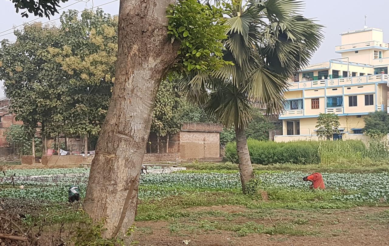 Ansari House Appartement Bodh Gaya Buitenkant foto